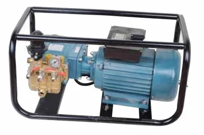 Άμεσης δράσης Plunger Pump Power Sprayer